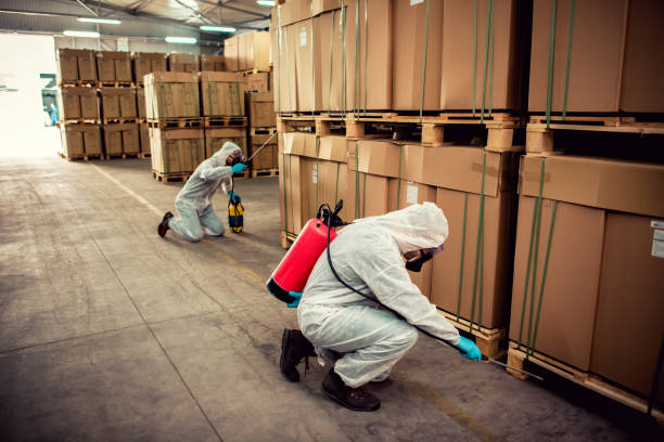 Best Termite Control Services  in Church Point, LA