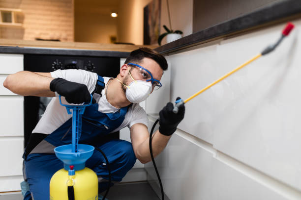 Best Mosquito Control Services  in Church Point, LA