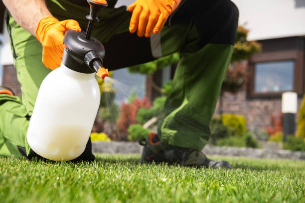 Church Point, LA Pest Control Company