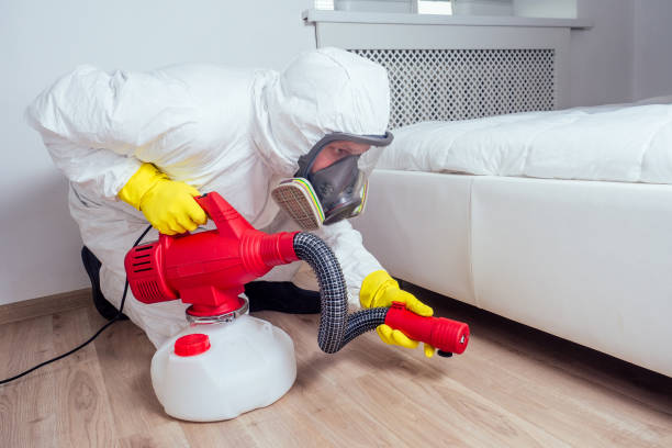 Wasp Removal Services in Church Point, LA