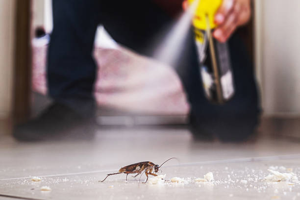 Best Pest Prevention Services  in Church Point, LA