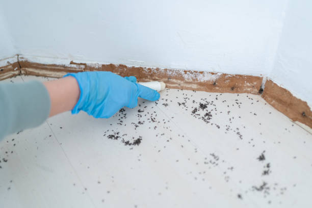 Best Best Pest Control Companies  in Church Point, LA